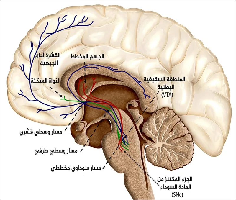 Ce que votre cerveau ne vous dit pas quand vous lancez un jeu instantané